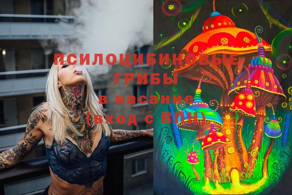 экстази Богданович