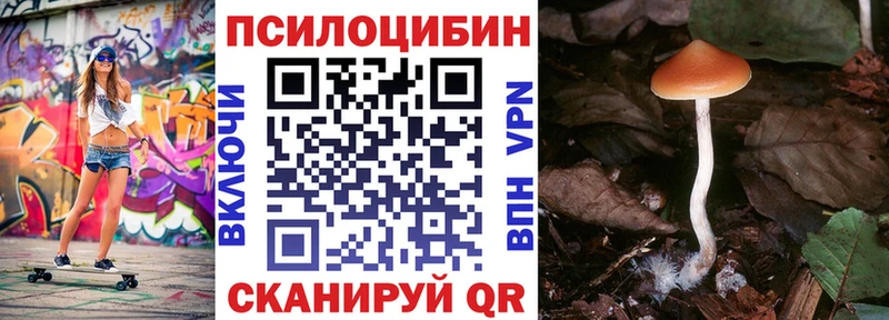 Псилоцибиновые грибы GOLDEN TEACHER  Пионерский 